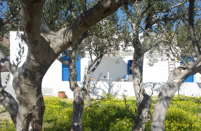 Unique & restored traditional Karpathian cottage