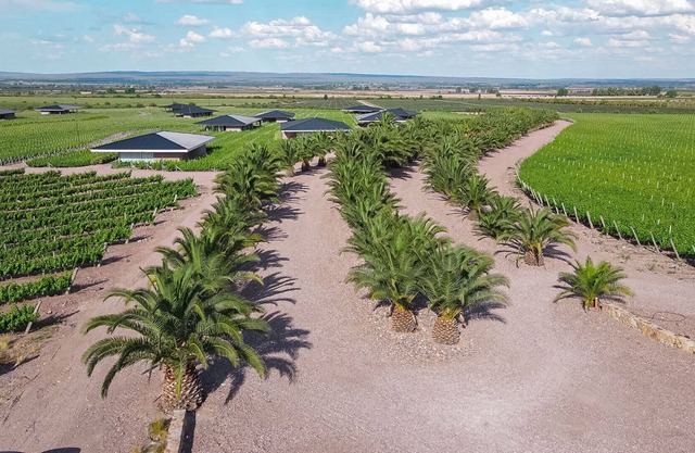 Unique Villas del Malbec Lodges between vineyards and mountain view