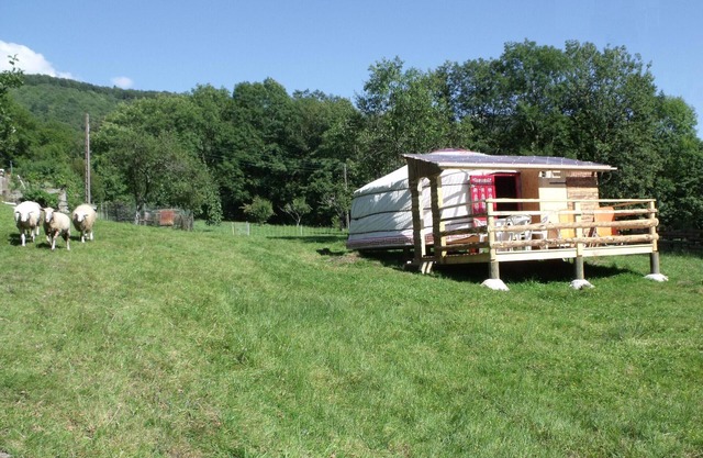 Unique yurt with sauna and private terrace