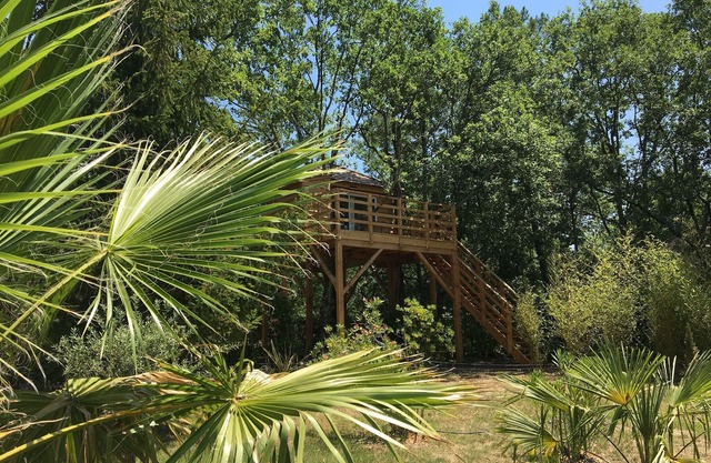 Unusual accommodation, tree house with panoramic terrace!