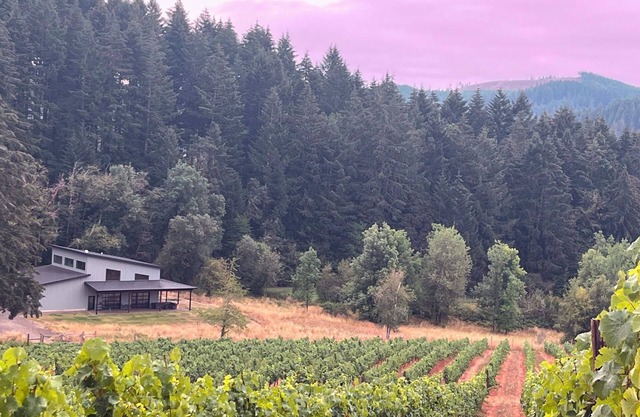 Unwind in Wine Country