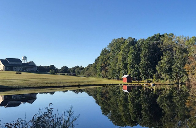 Uproot Family Farms "Peaceful, Picturesque, Perfect"