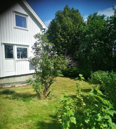 Utleiebolig Fannrem