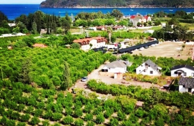 Utopya Apart Kamp Alani