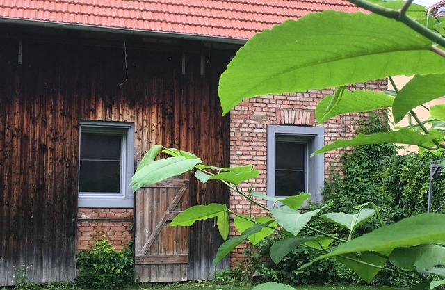 Vacation apartment/apartment for 5 guests with 90m² in Tauberbischofsheim (145024)