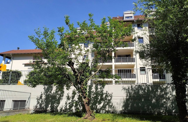 Vacation apartment/apartment for 6 guests with 80m² in Friedrichshafen (165687)