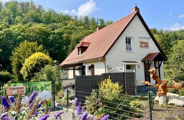 Vacation home for 6 guests with 150m² in Thale (268179)