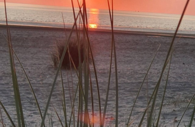 Vacation home in Holland 250 m to the sea, sauna whirlpool