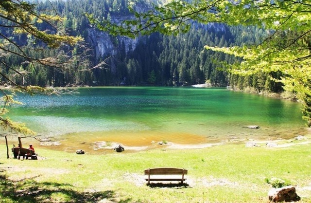 VACATION HOME IRIS- RELAXING VACATION IN TOUCH WITH NATURE