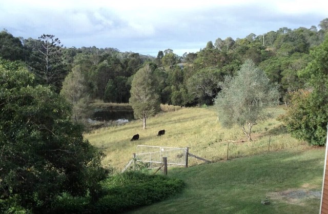 Valley Viewn