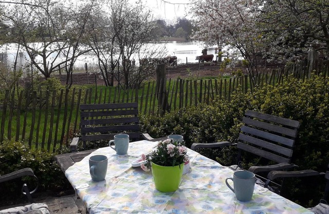 Variante 1: Ferienwohnung, 1 Wohn-schlafraum - Hof am See
