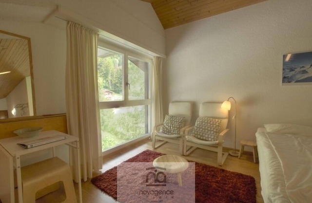 Very confortable 28 m2 studio, entirely refurbished in 2009, with view on the slopes, in the center