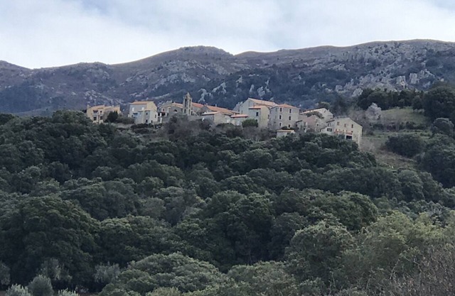 Very pleasant garden level in a house, ideal for couples with or without children