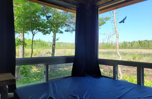 Very Private, Secluded, Nature, Pet Friendly, NO NEIGHBOURS -Red Pine cabin