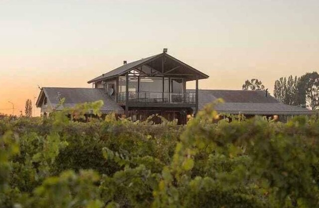 Viña Jardín de Maria