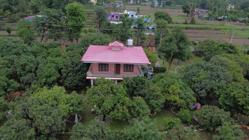 Vida Homestay