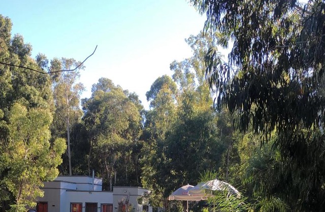 Viento Potro Casa de Campo