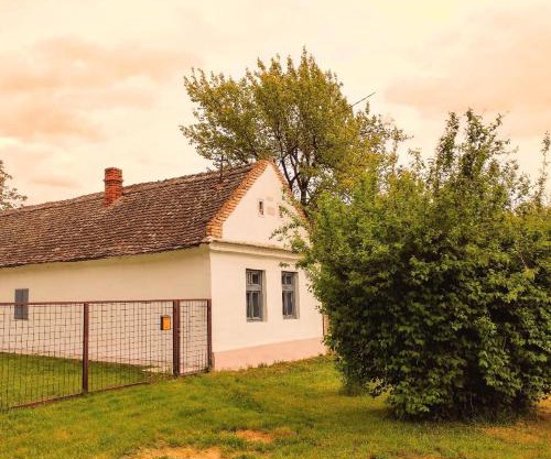Vikendica Miki u Banatu, okolina Beograda