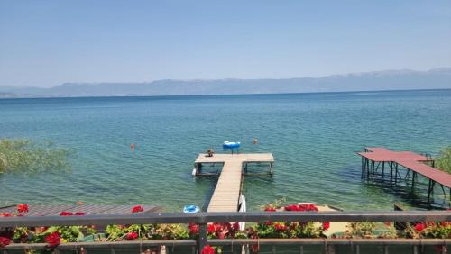 Vila Kladenci
