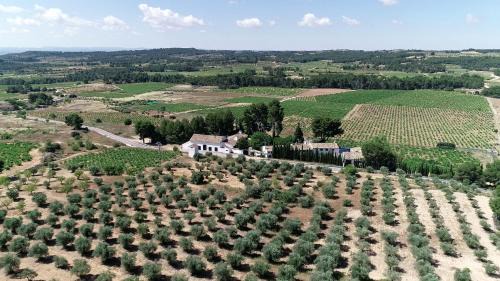 VILASIRA (Rooms & Wines)