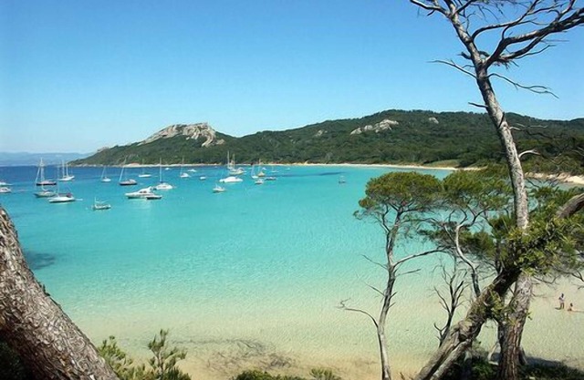 Villa 15km of the beaches of Hyères les Palmiers