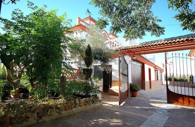 Villa Amparo, fantastic villa with garden, saltwater pool, solarium.