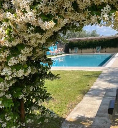 Villa Borgeri