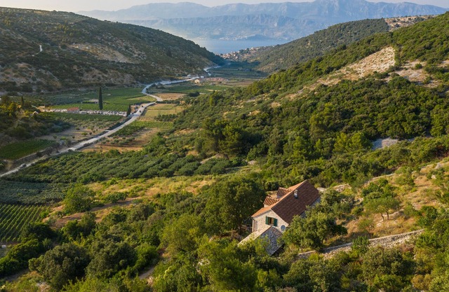 Villa Dol on Brac – Crovillas GmbH