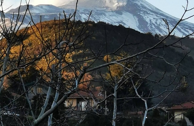 Villa Etna a charming stay along the slopes of the Etna volcano