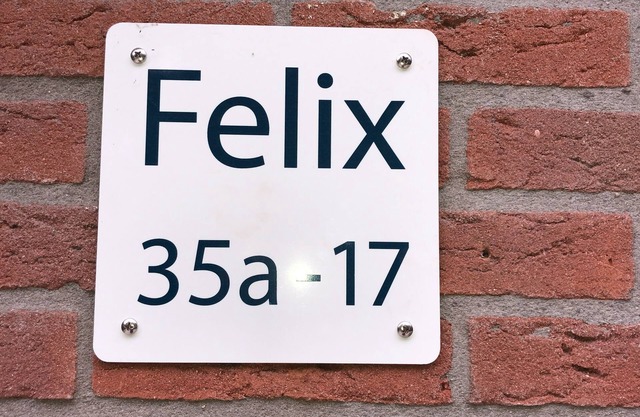 Villa Felix with sauna in Ermelo