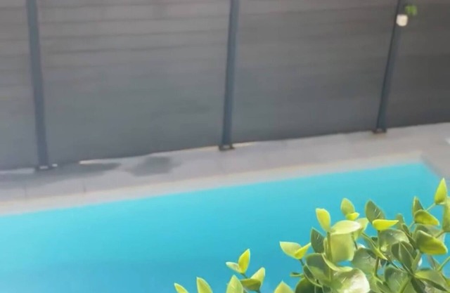 Villa l'Alivu charming haven with pool and jacuzzi for an exceptional stay