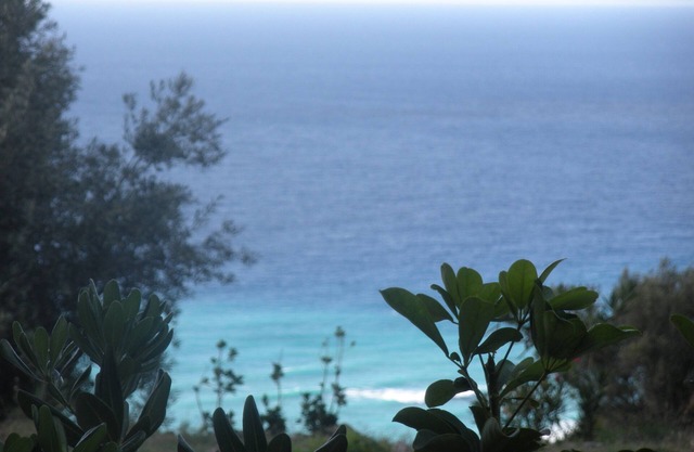 Villa Ginestra - Two-room apartment