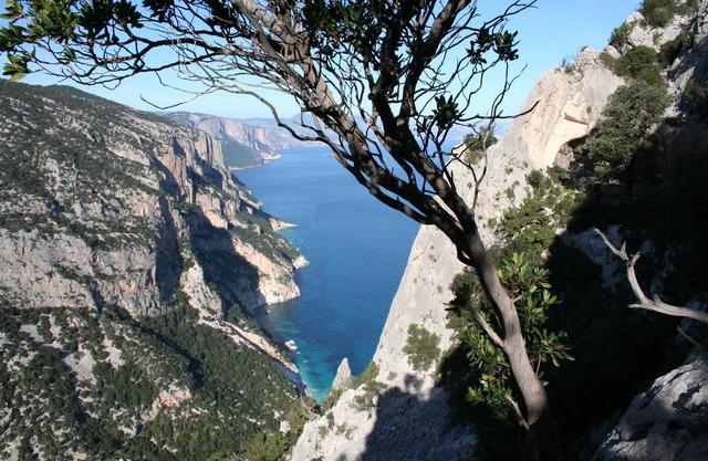 Villa Juniper with exclusive garden just 4 minutes walk from the beach