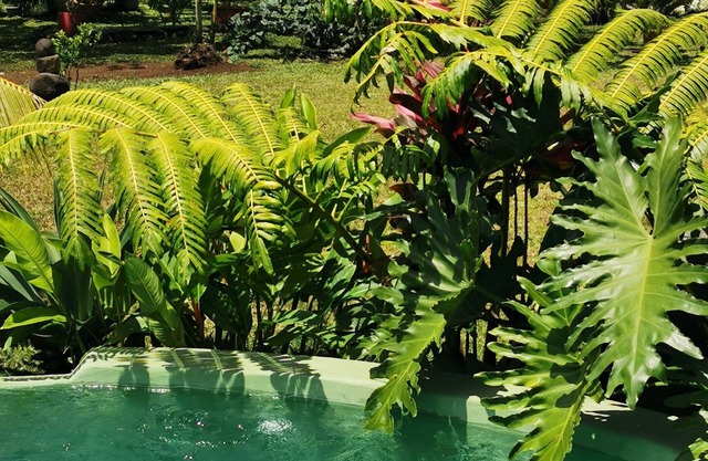 VILLA KOKU'U with private pool on the Taravao Plateau