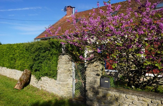 Villa La Bazonnerie, quietly located holiday home with private swimming pool