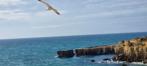 Villa Lidia Oura Beach with private Swimmingpool