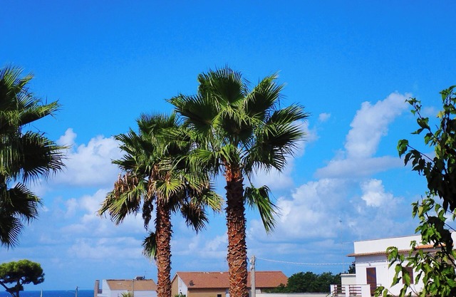 "VILLA MARECHIARO" - beach=100m/train>Rome 340m,n1000sqm garden, ~110sqm living