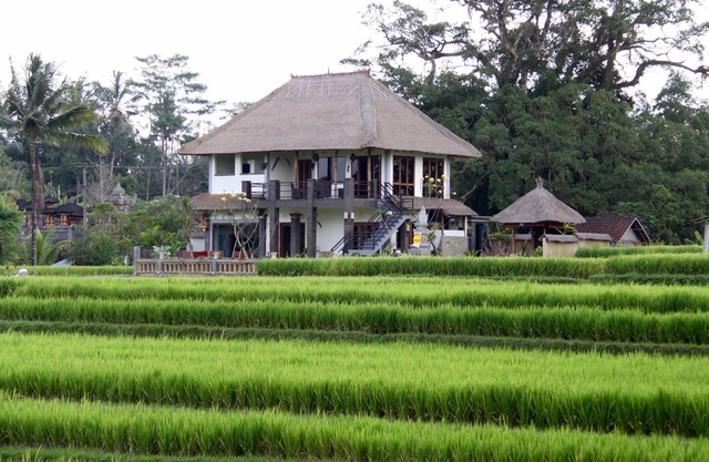 Villa near Ubud, panoramic view of rice fields and the volcano