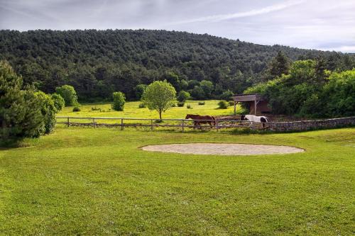 Villa Noiram - Your dream Getaway in Nature
