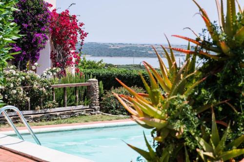 Villa Rosa - Piscina privata