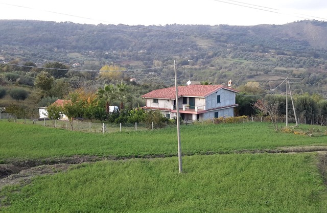 Villa Rosetta in the middle of nature, surrounded by palm and olive trees