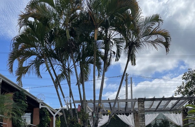 Villa Sāo Francisco