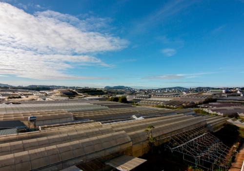 Villa Say Nắng Đà Lạt