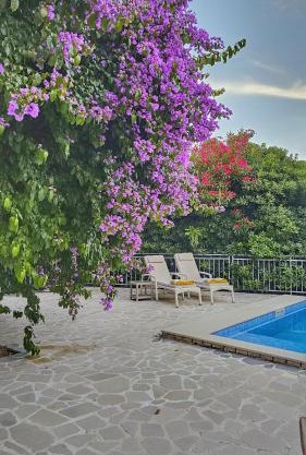 Villa Sazanka with private pool