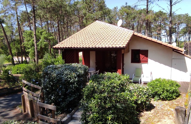 Villa/Studio under the pines, near the ocean and golf course -Pool -Large terrace
