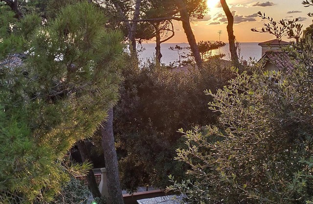 Villa surrounded by greenery at 300 meters from the sea