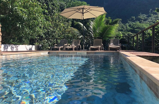Villa Te Fetia Nui Moorea - Pool and sea view