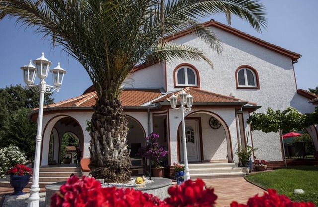 Villa Vallis Aurea for 8 + 2 with pool