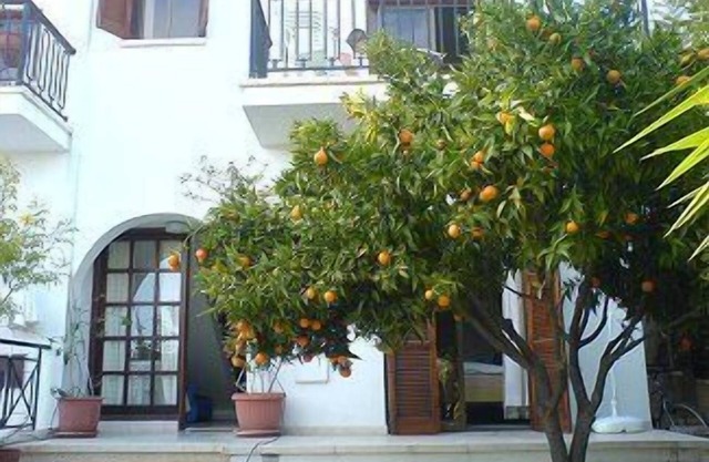 Villa with fantastic views, Free Car and Internet