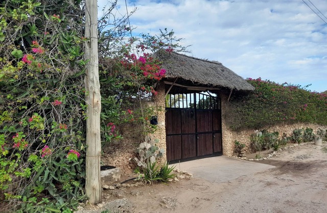 Villa with large garden 500 mt from the sea 2 bedrooms